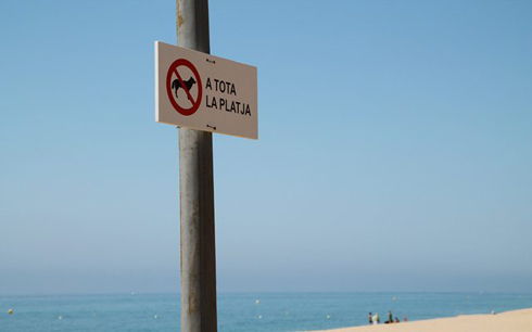 Nota árabe frío Playa de Els Griells , L´Estartit,Girona | Donde ir con Perro. Viaja con  perro